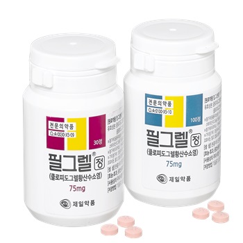 필그렐정